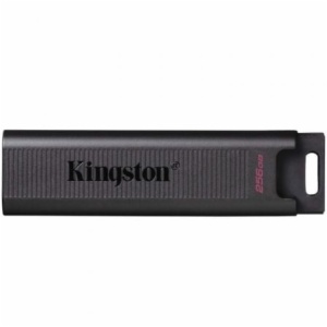 PENDRIVE KINGSTON DTMAX/256GB